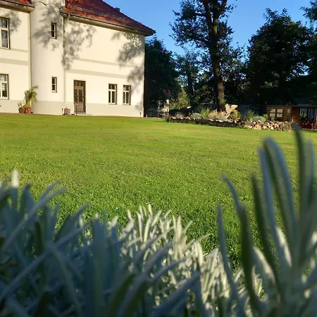 Ferienwohnung Gutshaus Klitzschen Mockrehna Exterior photo